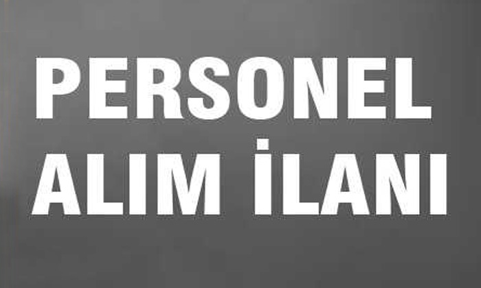 BAYKAN KALKINMA YEREL EYLEM GRUBU DERNEĞİ İŞE ALIM İLANI